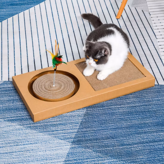 Puesto Profesional de Impresión Computarizada